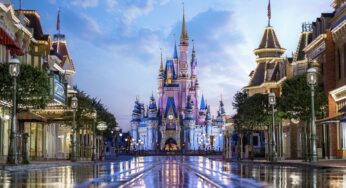 'Visita' inusitada de urso fecha áreas de parque da Disney nos EUA e gera memes
