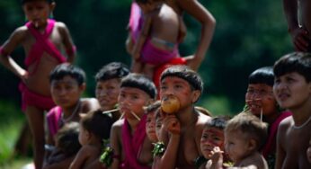 Índio ou indígena? Termo usado por Rodriguinho no ‘BBB 24’ gera discussão e etnolinguista explica | Amazonas