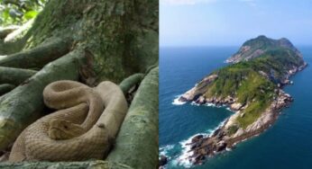 Conheça 10 lugares misteriosos e impressionantes do planeta que nenhum turista pode visitar
