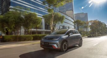 Moderno e eficiente: por que o BYD Dolphin conquistou o título de Carro do Ano | BYD