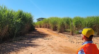 Piloto de drone tem salário de até R$ 10 mil; veja as oportunidades no agro | Agronegócios