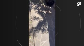 Imagens de eclipse solar total ‘multiplicado’ no chão chamam a atenção; ciência explica fenômeno | Ciência