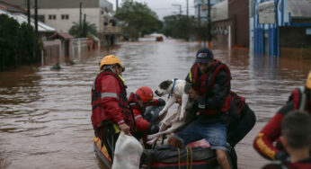 Após as enchentes, o Brasil tem um aumento no número de animais de estimação sem teto