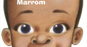 ‘Pacto de sangue’ e ‘velha atropelada’: os pontos do livro ‘Menino Marrom’, de Ziraldo, suspenso em escolas de MG | Educação