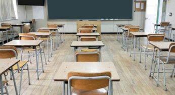 Plano Nacional de Educação completa 10 anos com apenas 4 das 20 metas parcialmente cumpridas, alerta entidade | Educação